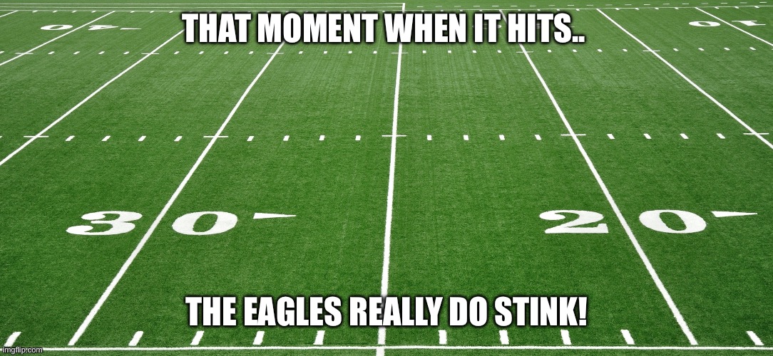 football field  | THAT MOMENT WHEN IT HITS.. THE EAGLES REALLY DO STINK! | image tagged in football field | made w/ Imgflip meme maker