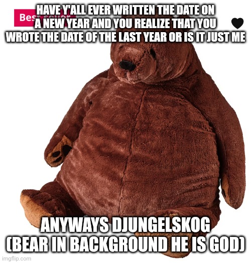 Djungelskog | HAVE Y'ALL EVER WRITTEN THE DATE ON A NEW YEAR AND YOU REALIZE THAT YOU WROTE THE DATE OF THE LAST YEAR OR IS IT JUST ME; ANYWAYS DJUNGELSKOG (BEAR IN BACKGROUND HE IS GOD) | image tagged in ikea bear | made w/ Imgflip meme maker