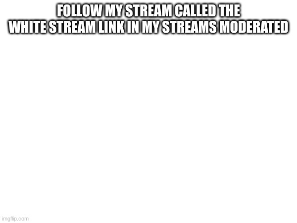 Follow my white stream | FOLLOW MY STREAM CALLED THE WHITE STREAM LINK IN MY STREAMS MODERATED | image tagged in memes,lol,meme,funny | made w/ Imgflip meme maker