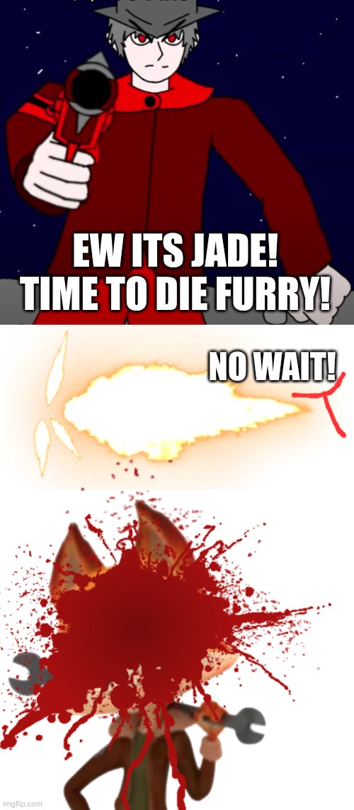 worst meme | EW ITS JADE! TIME TO DIE FURRY! NO WAIT! | image tagged in why are you reading the tags | made w/ Imgflip meme maker