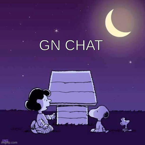 Good night  | GN CHAT | image tagged in good night | made w/ Imgflip meme maker