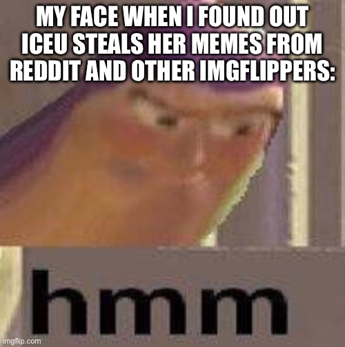 Hmmmm | MY FACE WHEN I FOUND OUT ICEU STEALS HER MEMES FROM REDDIT AND OTHER IMGFLIPPERS: | image tagged in hmmmm | made w/ Imgflip meme maker