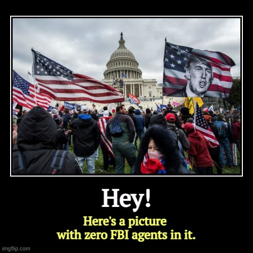 Hey! | Here's a picture 
with zero FBI agents in it. | image tagged in funny,demotivationals,trump,insurrection,capitol riot,fbi | made w/ Imgflip demotivational maker