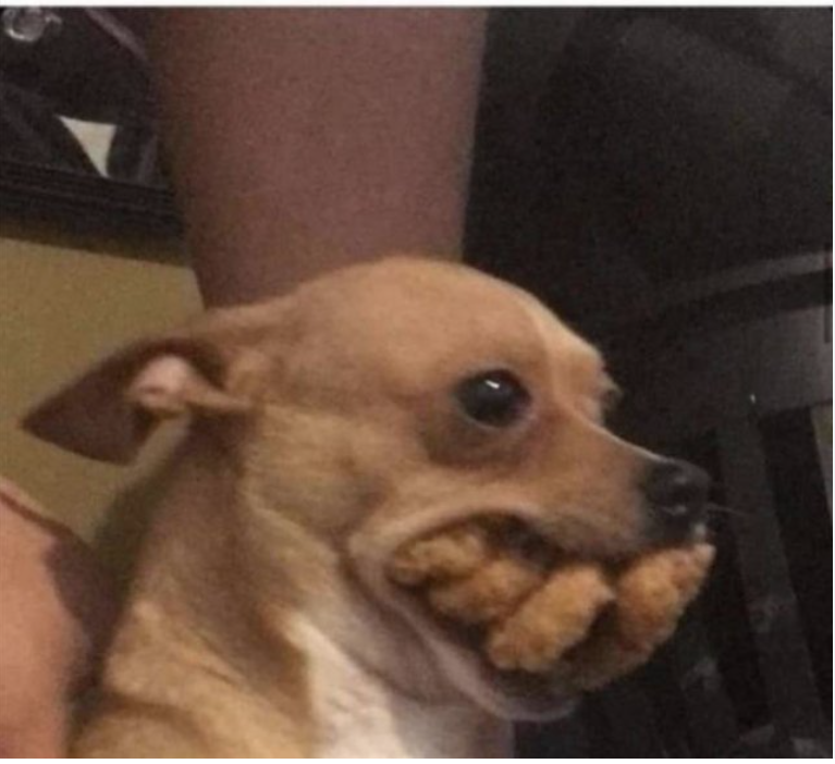 Chicken Nugget Dog Blank Meme Template