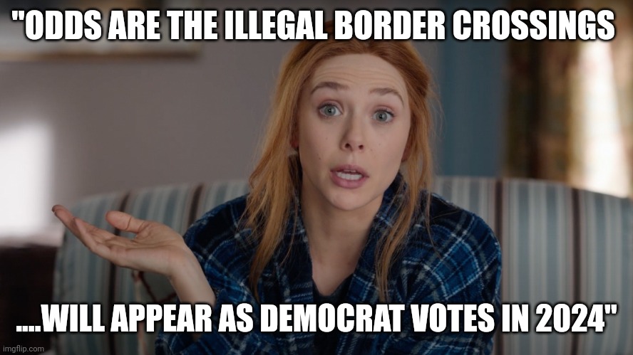 You wait...... | "ODDS ARE THE ILLEGAL BORDER CROSSINGS; ....WILL APPEAR AS DEMOCRAT VOTES IN 2024" | image tagged in what are the odds wanda | made w/ Imgflip meme maker