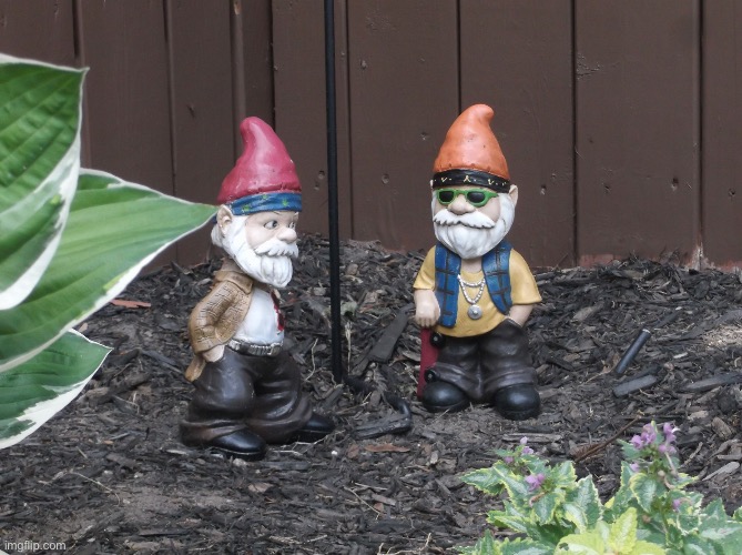 Garden Gnomes | image tagged in garden gnomes | made w/ Imgflip meme maker