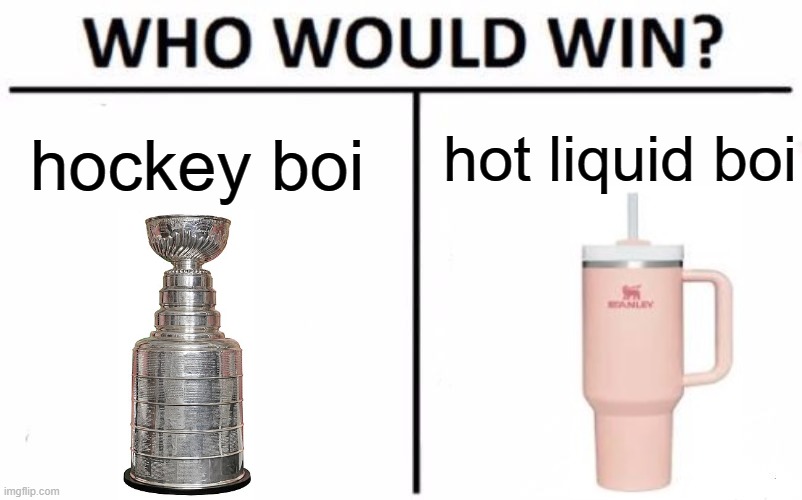 Stanley Cup | hot liquid boi; hockey boi | image tagged in memes,who would win,stanley cup,target | made w/ Imgflip meme maker