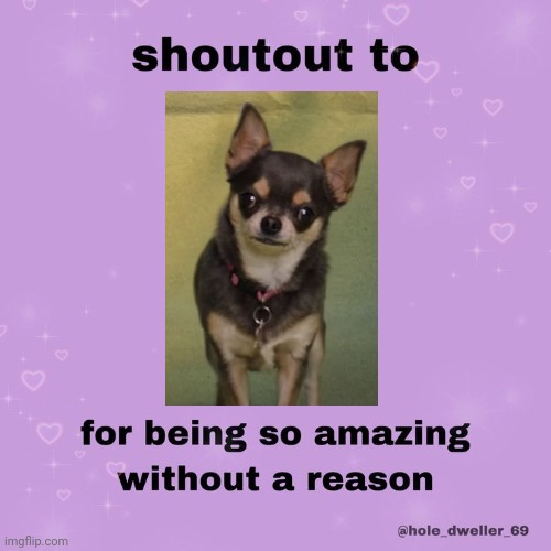 shoutout to | image tagged in shoutout to,will trent,dogs,abc | made w/ Imgflip meme maker