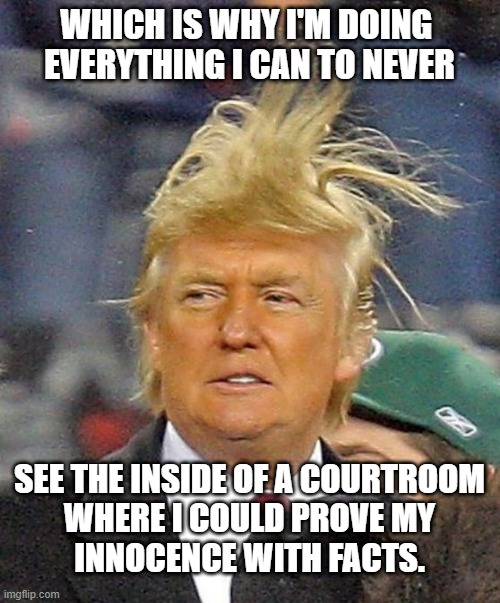 Donald Trumph hair | WHICH IS WHY I'M DOING 
EVERYTHING I CAN TO NEVER SEE THE INSIDE OF A COURTROOM
WHERE I COULD PROVE MY
INNOCENCE WITH FACTS. | image tagged in donald trumph hair | made w/ Imgflip meme maker