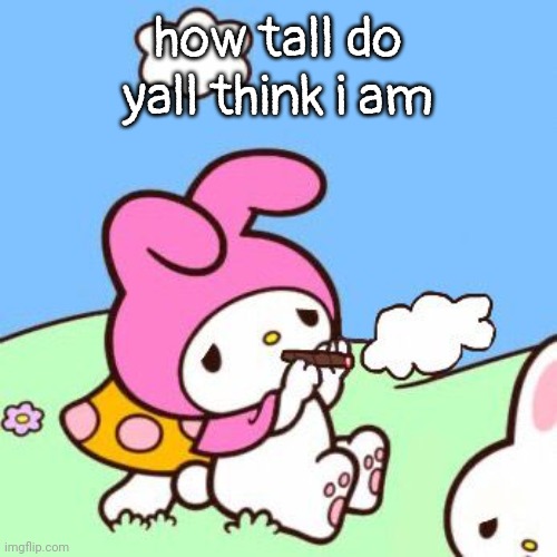 melody | how tall do yall think i am | image tagged in melody | made w/ Imgflip meme maker