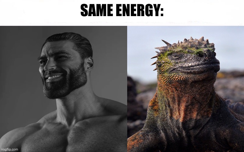 Who Would Win Blank | SAME ENERGY: | image tagged in who would win blank,gigachad,lizard,same energy,memes,funny animal meme | made w/ Imgflip meme maker