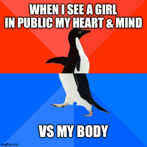 i'm 50-50 agree | WHEN I SEE A GIRL IN PUBLIC MY HEART & MIND; VS MY BODY | image tagged in memes,socially awesome awkward penguin | made w/ Imgflip meme maker