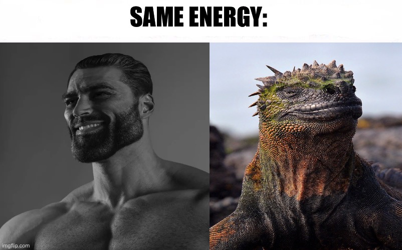 Who Would Win Blank | SAME ENERGY: | image tagged in who would win blank,lizard,gigachad,same energy,memes,funny animal meme | made w/ Imgflip meme maker