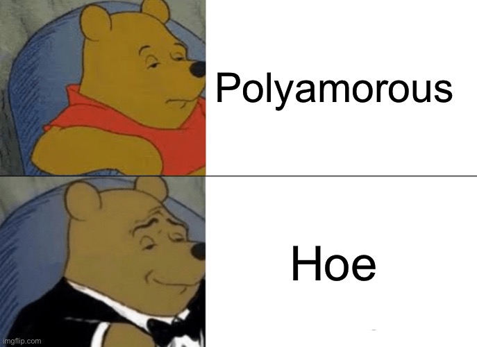 Tuxedo Winnie The Pooh | Polyamorous; Hoe | image tagged in memes,tuxedo winnie the pooh | made w/ Imgflip meme maker