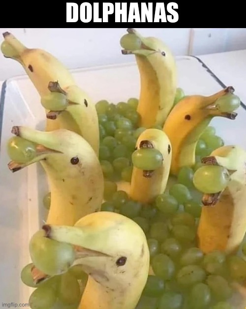 Dolphin bananas | DOLPHANAS | image tagged in dolphins,bananas | made w/ Imgflip meme maker