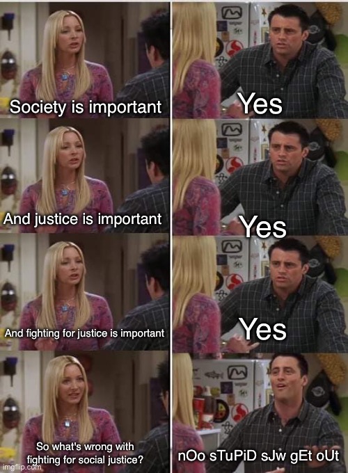 More MAGA nonsense | Society is important; Yes; And justice is important; Yes; Yes; And fighting for justice is important; So what's wrong with fighting for social justice? nOo sTuPiD sJw gEt oUt | image tagged in phoebe joey,memes,politics,funny | made w/ Imgflip meme maker