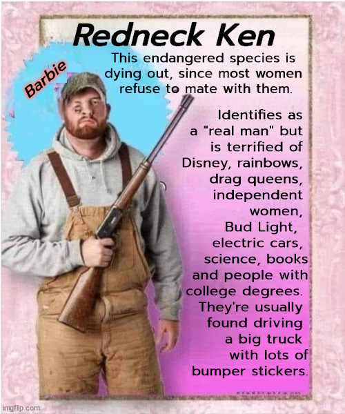 Redneck Ken; This endangered species is 
dying out, since most women 
refuse to mate with them. Barbie; Identifies as 
a "real man" but 
is terrified of 
Disney, rainbows, 
drag queens, 
independent 
women, 
Bud Light,  
electric cars, 
science, books
and people with
college degrees. 
They're usually 
found driving 
a big truck 
with lots of
bumper stickers. | image tagged in redneck,hillbilly,men,cowards,fear,barbie | made w/ Imgflip meme maker