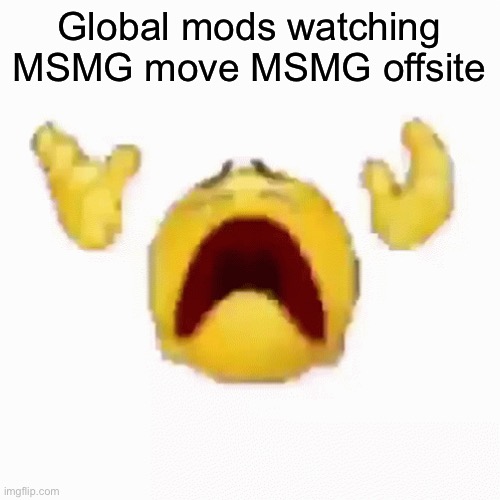 :nooo: | Global mods watching MSMG move MSMG offsite | image tagged in nooo | made w/ Imgflip meme maker