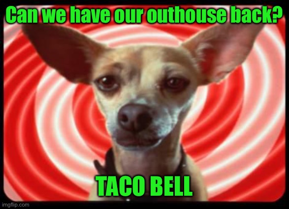 taco bell dog | Can we have our outhouse back? TACO BELL | image tagged in taco bell dog | made w/ Imgflip meme maker