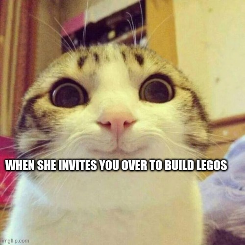 Smiling Cat Meme | WHEN SHE INVITES YOU OVER TO BUILD LEGOS | image tagged in memes,smiling cat | made w/ Imgflip meme maker