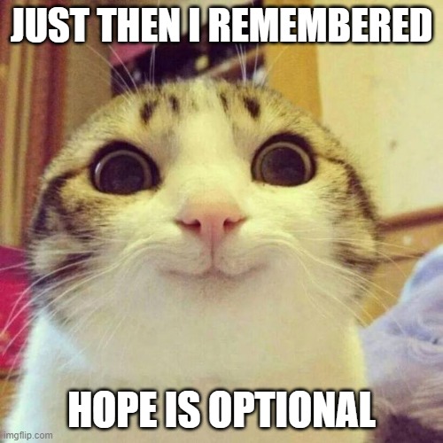 This always cheers me up | JUST THEN I REMEMBERED; HOPE IS OPTIONAL | image tagged in memes,smiling cat,hope,optional,remember | made w/ Imgflip meme maker