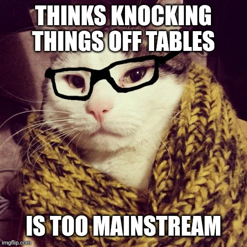 Hipster Cat | THINKS KNOCKING THINGS OFF TABLES; IS TOO MAINSTREAM | image tagged in hipster cat | made w/ Imgflip meme maker