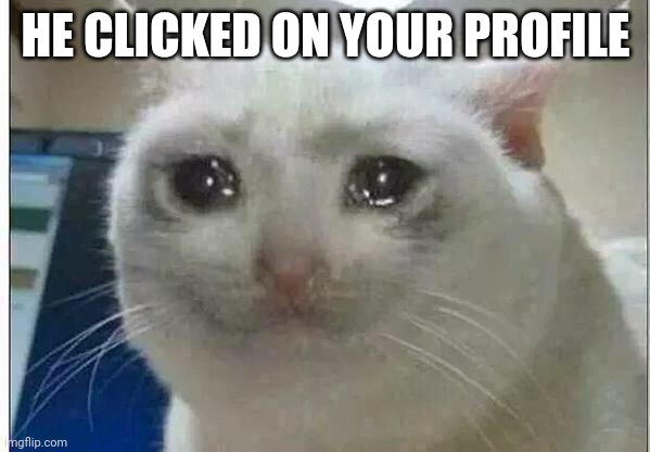 crying cat | HE CLICKED ON YOUR PROFILE | image tagged in crying cat | made w/ Imgflip meme maker