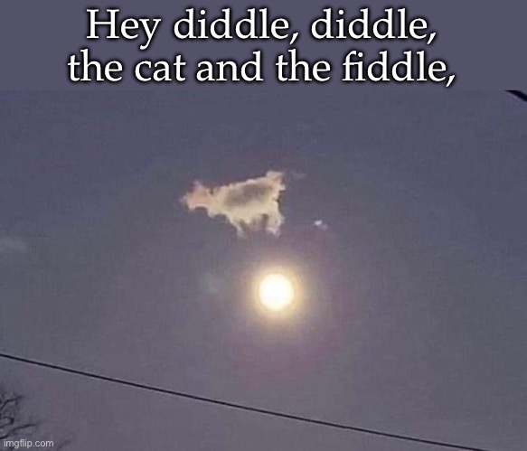 Cow and moon | Hey diddle, diddle, the cat and the fiddle, | image tagged in cow,moon,nursery rhymes | made w/ Imgflip meme maker