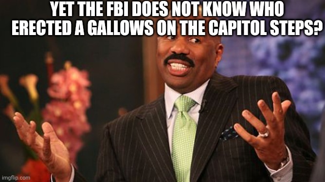 YET THE FBI DOES NOT KNOW WHO ERECTED A GALLOWS ON THE CAPITOL STEPS? | image tagged in memes,steve harvey | made w/ Imgflip meme maker