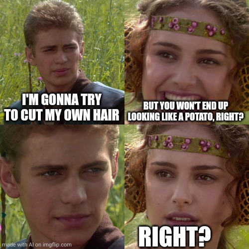 Anakin Padme 4 Panel | I'M GONNA TRY TO CUT MY OWN HAIR; BUT YOU WON'T END UP LOOKING LIKE A POTATO, RIGHT? RIGHT? | image tagged in anakin padme 4 panel | made w/ Imgflip meme maker