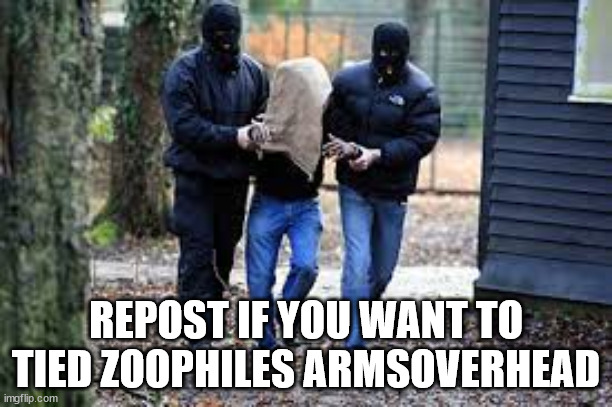 Kidnapping | REPOST IF YOU WANT TO TIED ZOOPHILES ARMSOVERHEAD | image tagged in bra,armpit | made w/ Imgflip meme maker