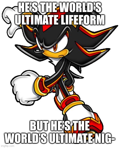 Racism | HE’S THE WORLD’S ULTIMATE LIFEFORM; BUT HE’S THE WORLD’S ULTIMATE NIG- | image tagged in shadow the hedgehog | made w/ Imgflip meme maker