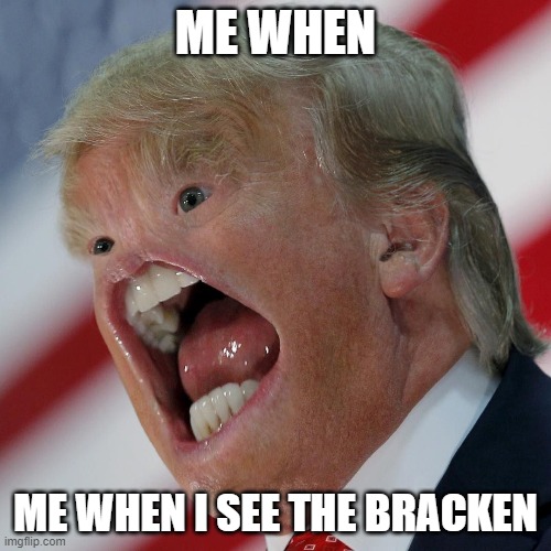 Lethal Company | ME WHEN; ME WHEN I SEE THE BRACKEN | image tagged in company,memes,funny memes,dank memes,donald trump,trump | made w/ Imgflip meme maker