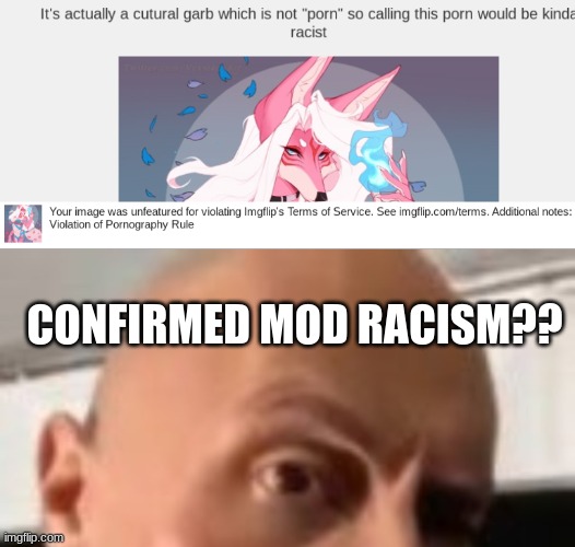 CONFIRMED MOD RACISM?? | image tagged in rock raising eyebrow | made w/ Imgflip meme maker
