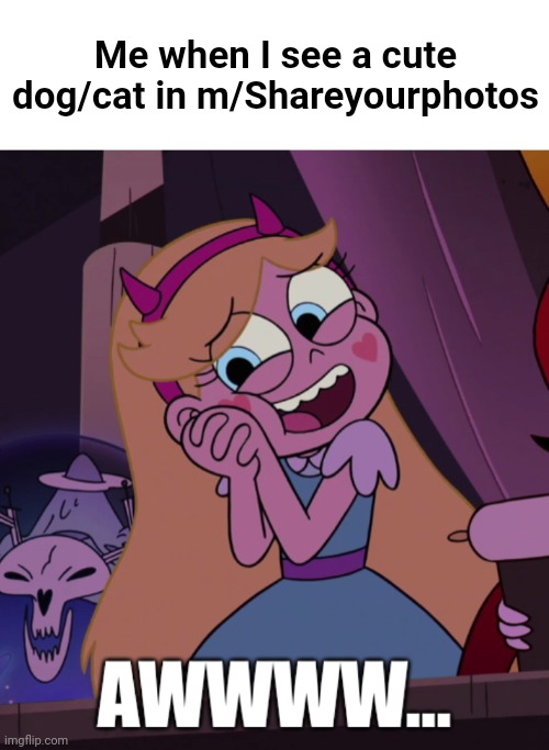 Star Butterfly “Awwwww…” | Me when I see a cute dog/cat in m/Shareyourphotos | image tagged in star butterfly awwwww | made w/ Imgflip meme maker