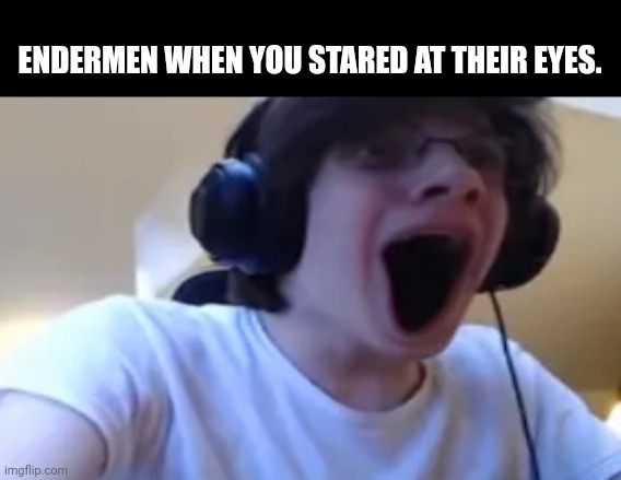 ENDERMEN WHEN YOU STARED AT THEIR EYES. | image tagged in memes,shout,mad | made w/ Imgflip meme maker