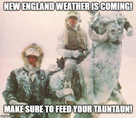 New England Tauntaun | NEW ENGLAND WEATHER IS COMING! MAKE SURE TO FEED YOUR TAUNTAUN! | image tagged in tauntaun | made w/ Imgflip meme maker