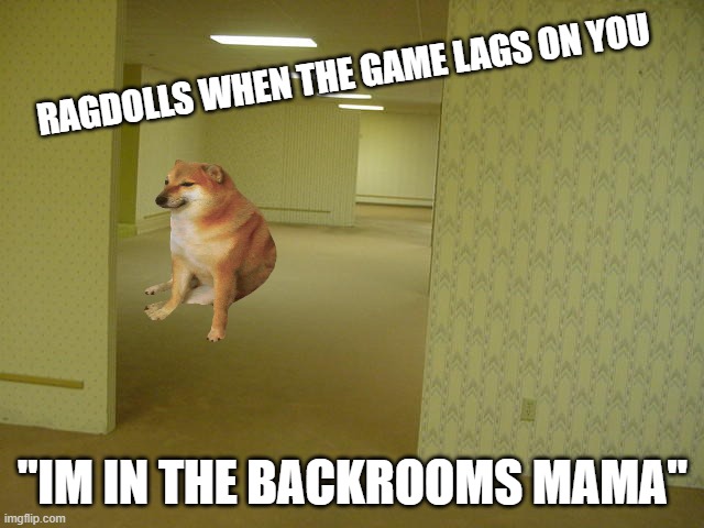 adsadsa | RAGDOLLS WHEN THE GAME LAGS ON YOU; "IM IN THE BACKROOMS MAMA" | image tagged in the backrooms,video games | made w/ Imgflip meme maker