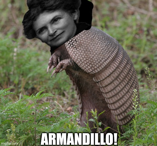 Armadillo | ARMANDILLO! | image tagged in memes,first,lady | made w/ Imgflip meme maker
