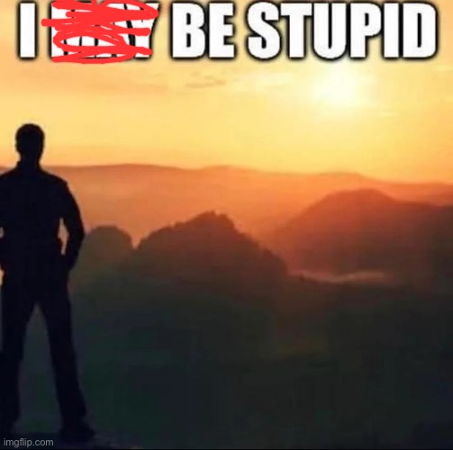 i do be stupid | image tagged in i may be stupid | made w/ Imgflip meme maker