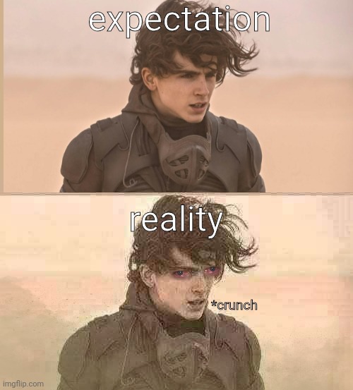 my brain the whole movie | expectation; reality; *crunch | image tagged in dune,barney will eat all of your delectable biscuits | made w/ Imgflip meme maker