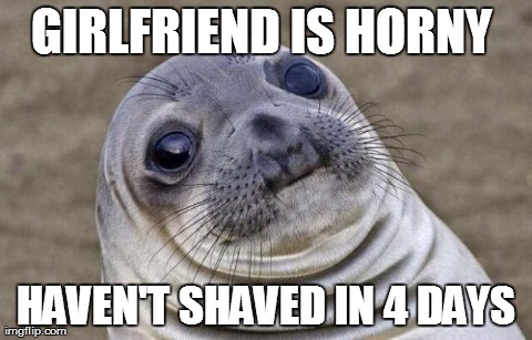 Awkward Moment Sealion | GIRLFRIEND IS HORNY  HAVEN'T SHAVED IN 4 DAYS | image tagged in awkward sealion | made w/ Imgflip meme maker