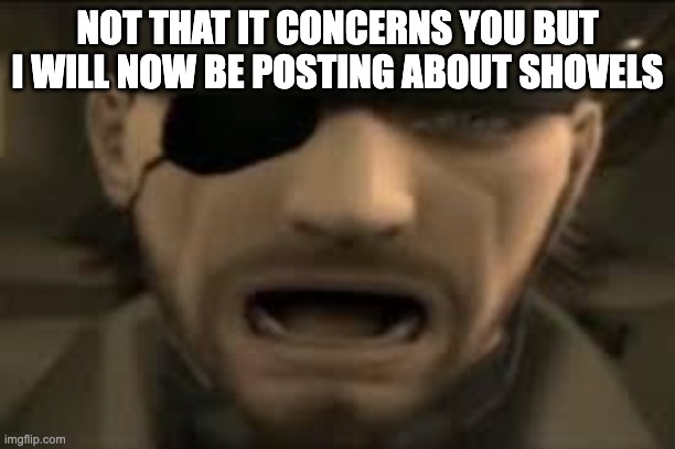 digger | NOT THAT IT CONCERNS YOU BUT I WILL NOW BE POSTING ABOUT SHOVELS | image tagged in naked snake scream | made w/ Imgflip meme maker