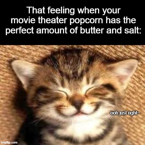 doesn't happen often | That feeling when your movie theater popcorn has the perfect amount of butter and salt:; ooh just right~ | image tagged in happy cat,popcorn,movie theater,tfw | made w/ Imgflip meme maker