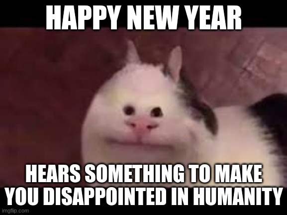 we are a sad race | HAPPY NEW YEAR; HEARS SOMETHING TO MAKE YOU DISAPPOINTED IN HUMANITY | image tagged in cat | made w/ Imgflip meme maker