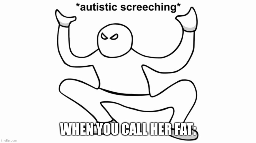 Autistic screeching | WHEN YOU CALL HER FAT: | image tagged in autistic screeching | made w/ Imgflip meme maker