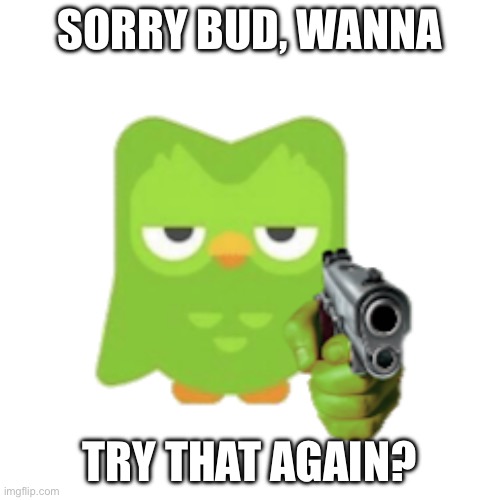 Duolingo | SORRY BUD, WANNA TRY THAT AGAIN? | image tagged in duolingo | made w/ Imgflip meme maker