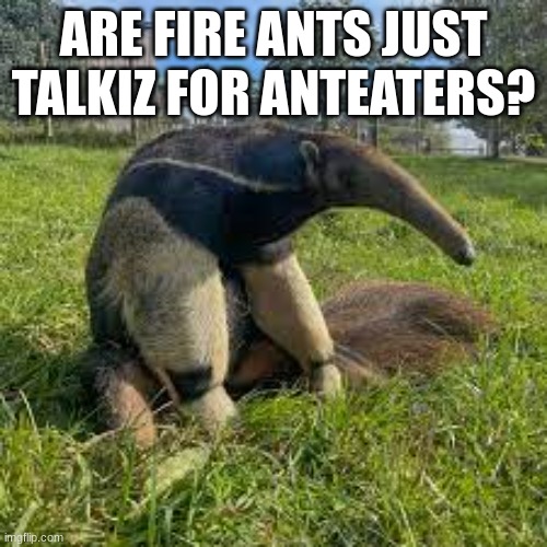 Anteater shower thoughts | ARE FIRE ANTS JUST TALKIZ FOR ANTEATERS? | image tagged in shower thoughts | made w/ Imgflip meme maker