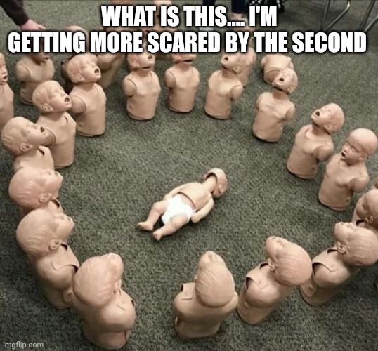 Image title | WHAT IS THIS.... I'M GETTING MORE SCARED BY THE SECOND | image tagged in random | made w/ Imgflip meme maker