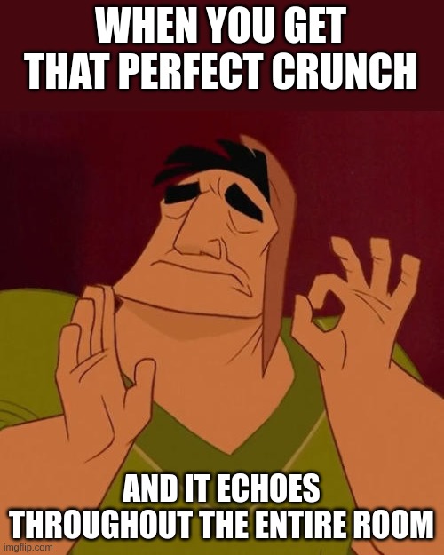 When X just right | WHEN YOU GET THAT PERFECT CRUNCH AND IT ECHOES THROUGHOUT THE ENTIRE ROOM | image tagged in when x just right | made w/ Imgflip meme maker